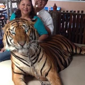 Meet your Posher, Liane